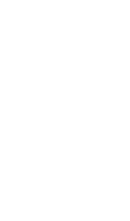 Logotipo de Nico Fullin